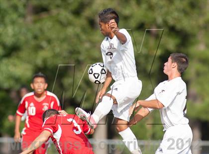 Thumbnail 3 in Vineland @ Absegami photogallery.