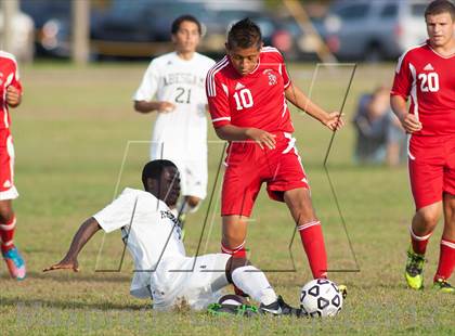 Thumbnail 2 in Vineland @ Absegami photogallery.