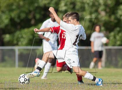Thumbnail 3 in Vineland @ Absegami photogallery.