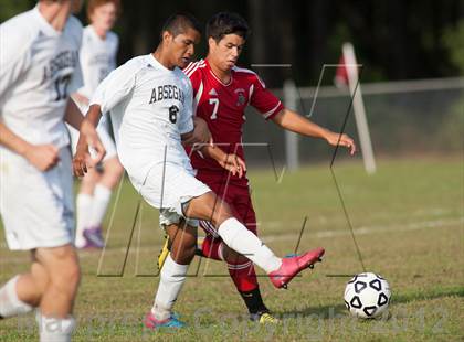 Thumbnail 2 in Vineland @ Absegami photogallery.