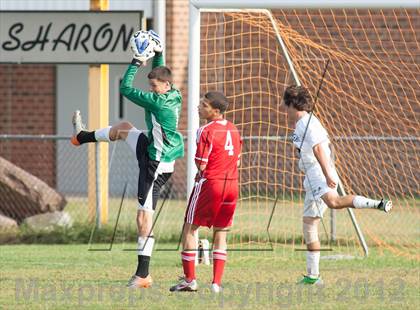 Thumbnail 2 in Vineland @ Absegami photogallery.