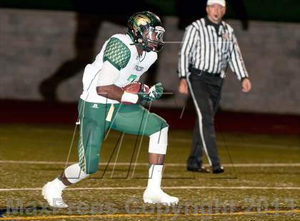 Thumbnail 1 in Falcon @ Ponderosa photogallery.