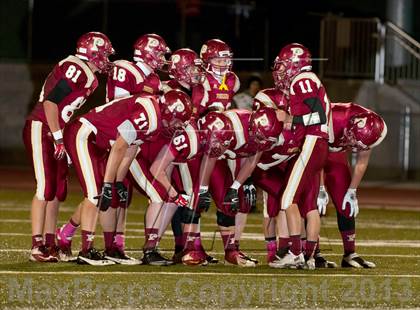 Thumbnail 3 in Falcon @ Ponderosa photogallery.