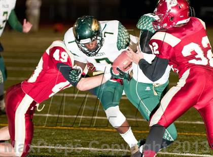 Thumbnail 2 in Falcon @ Ponderosa photogallery.