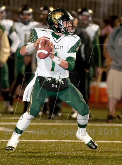 Thumbnail 1 in Falcon @ Ponderosa photogallery.
