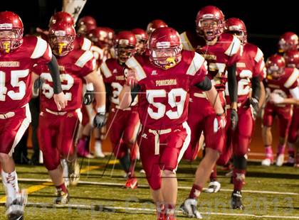 Thumbnail 2 in Falcon @ Ponderosa photogallery.