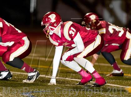 Thumbnail 2 in Falcon @ Ponderosa photogallery.