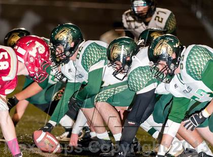 Thumbnail 3 in Falcon @ Ponderosa photogallery.