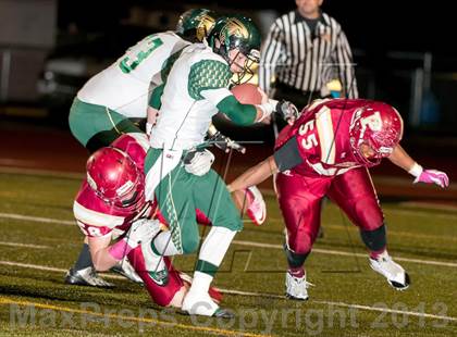 Thumbnail 1 in Falcon @ Ponderosa photogallery.