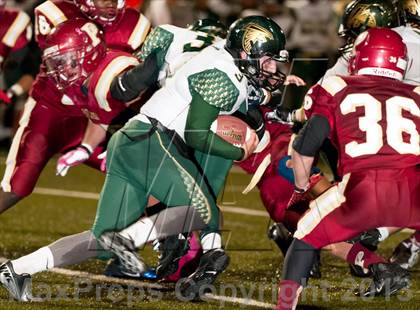 Thumbnail 2 in Falcon @ Ponderosa photogallery.