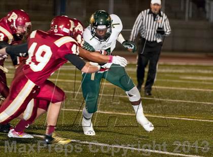 Thumbnail 2 in Falcon @ Ponderosa photogallery.