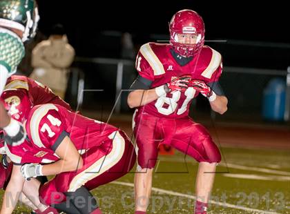Thumbnail 2 in Falcon @ Ponderosa photogallery.