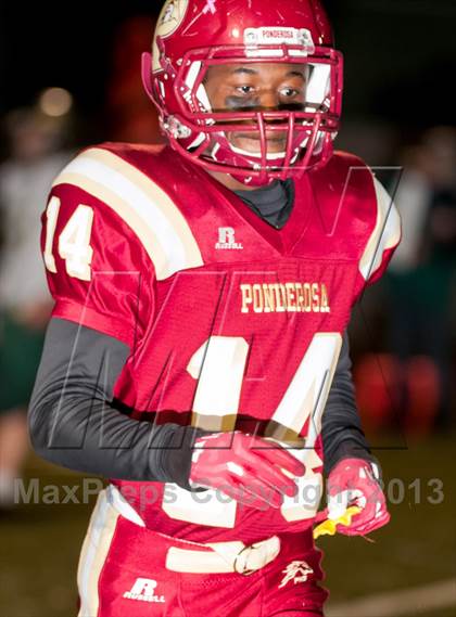Thumbnail 1 in Falcon @ Ponderosa photogallery.