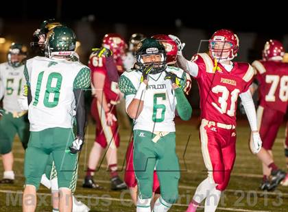 Thumbnail 3 in Falcon @ Ponderosa photogallery.