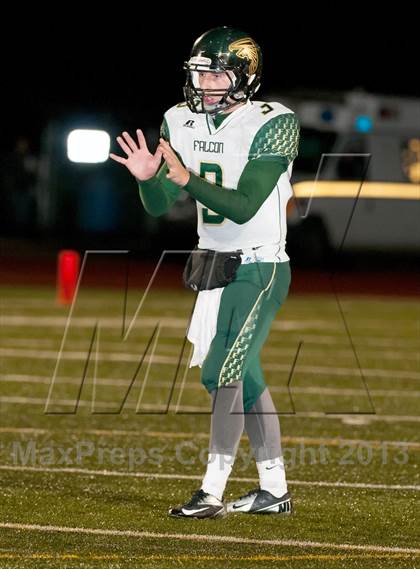 Thumbnail 3 in Falcon @ Ponderosa photogallery.