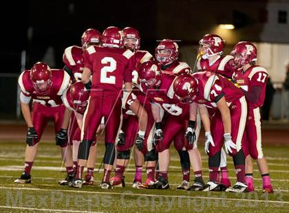 Thumbnail 2 in Falcon @ Ponderosa photogallery.