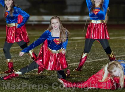 Thumbnail 1 in Falcon @ Ponderosa photogallery.