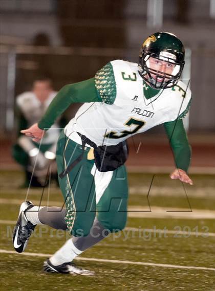 Thumbnail 2 in Falcon @ Ponderosa photogallery.