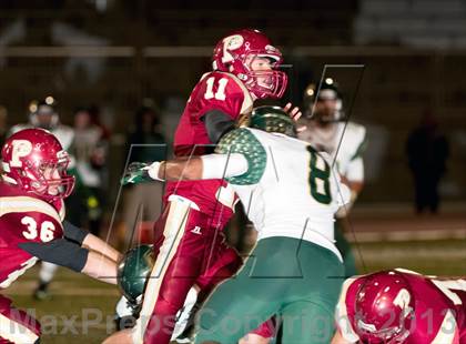 Thumbnail 3 in Falcon @ Ponderosa photogallery.