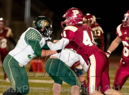 Thumbnail 1 in Falcon @ Ponderosa photogallery.