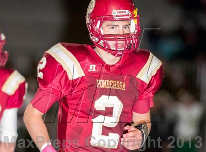 Thumbnail 3 in Falcon @ Ponderosa photogallery.