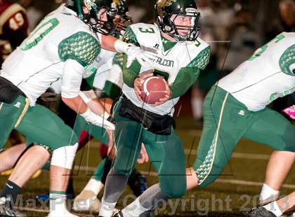 Thumbnail 3 in Falcon @ Ponderosa photogallery.