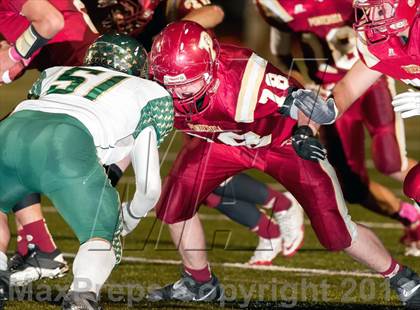Thumbnail 2 in Falcon @ Ponderosa photogallery.