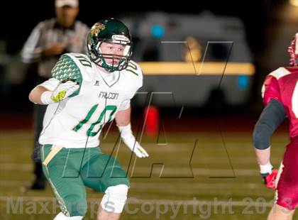 Thumbnail 1 in Falcon @ Ponderosa photogallery.