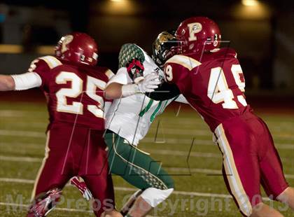 Thumbnail 2 in Falcon @ Ponderosa photogallery.