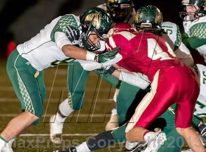 Thumbnail 3 in Falcon @ Ponderosa photogallery.