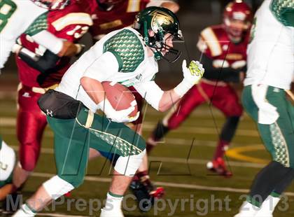 Thumbnail 1 in Falcon @ Ponderosa photogallery.