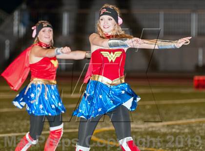 Thumbnail 1 in Falcon @ Ponderosa photogallery.
