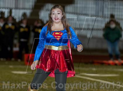 Thumbnail 1 in Falcon @ Ponderosa photogallery.