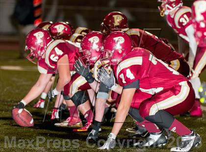 Thumbnail 3 in Falcon @ Ponderosa photogallery.