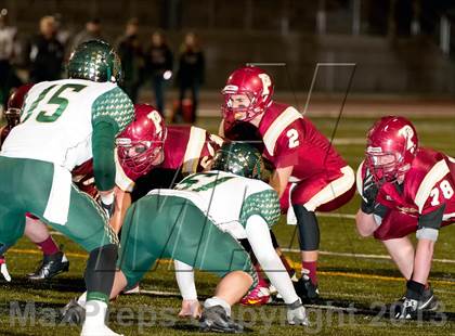 Thumbnail 3 in Falcon @ Ponderosa photogallery.