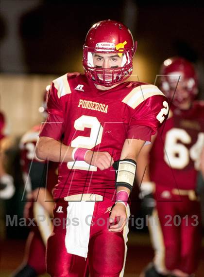 Thumbnail 1 in Falcon @ Ponderosa photogallery.