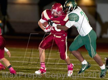 Thumbnail 2 in Falcon @ Ponderosa photogallery.
