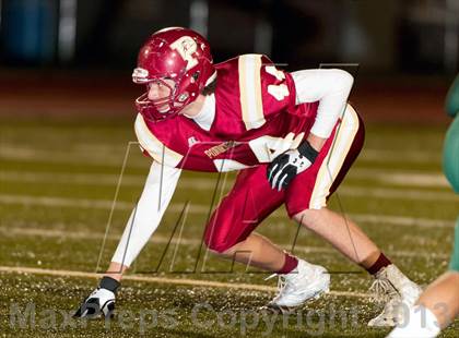 Thumbnail 2 in Falcon @ Ponderosa photogallery.
