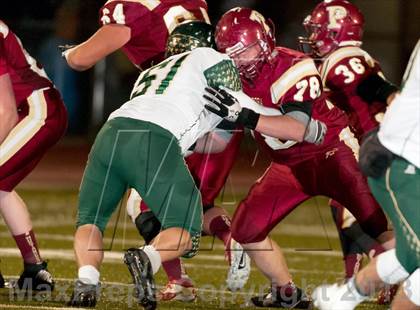 Thumbnail 2 in Falcon @ Ponderosa photogallery.