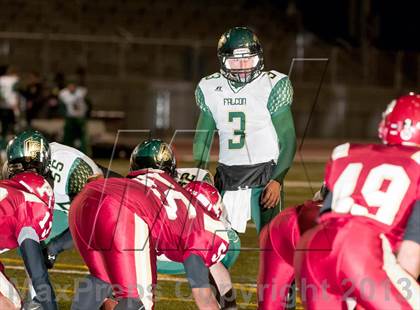 Thumbnail 3 in Falcon @ Ponderosa photogallery.
