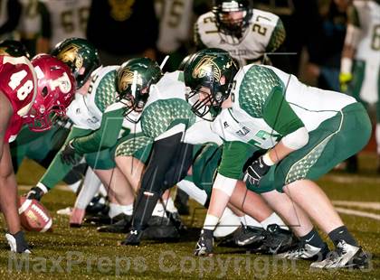 Thumbnail 2 in Falcon @ Ponderosa photogallery.