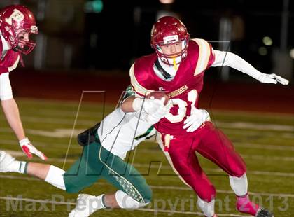 Thumbnail 2 in Falcon @ Ponderosa photogallery.