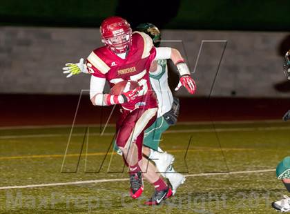 Thumbnail 2 in Falcon @ Ponderosa photogallery.