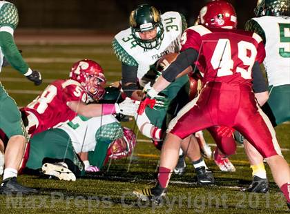 Thumbnail 1 in Falcon @ Ponderosa photogallery.