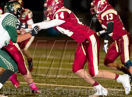 Thumbnail 3 in Falcon @ Ponderosa photogallery.