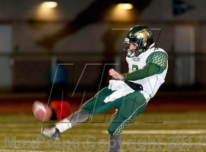 Thumbnail 1 in Falcon @ Ponderosa photogallery.