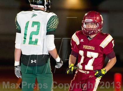 Thumbnail 1 in Falcon @ Ponderosa photogallery.