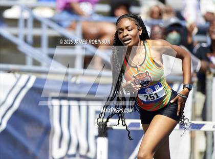 Thumbnail 2 in Bob Hayes Invitational (400m Hurdles) photogallery.