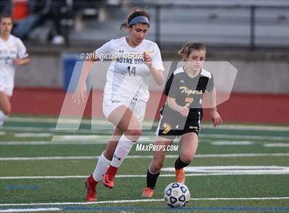 Thumbnail 1 in Notre Dame vs. Terra Nova (CIF CCS D2 Semifinal) photogallery.