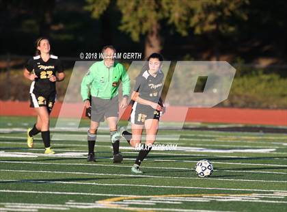 Thumbnail 3 in Notre Dame vs. Terra Nova (CIF CCS D2 Semifinal) photogallery.